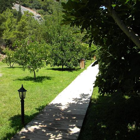 Azra Villas Çıralı Rum bild
