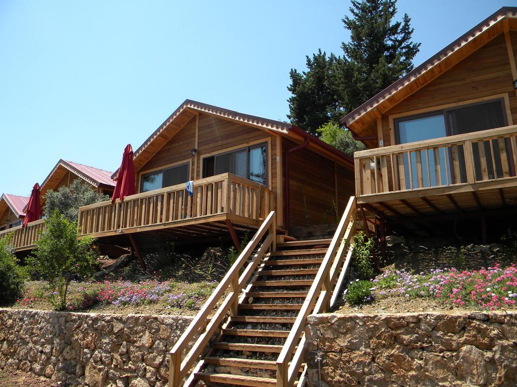 Azra Villas Çıralı Rum bild