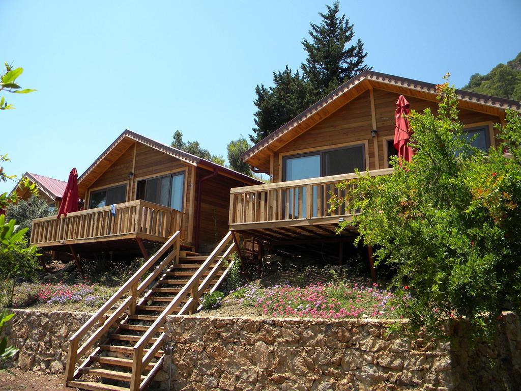 Azra Villas Çıralı Rum bild
