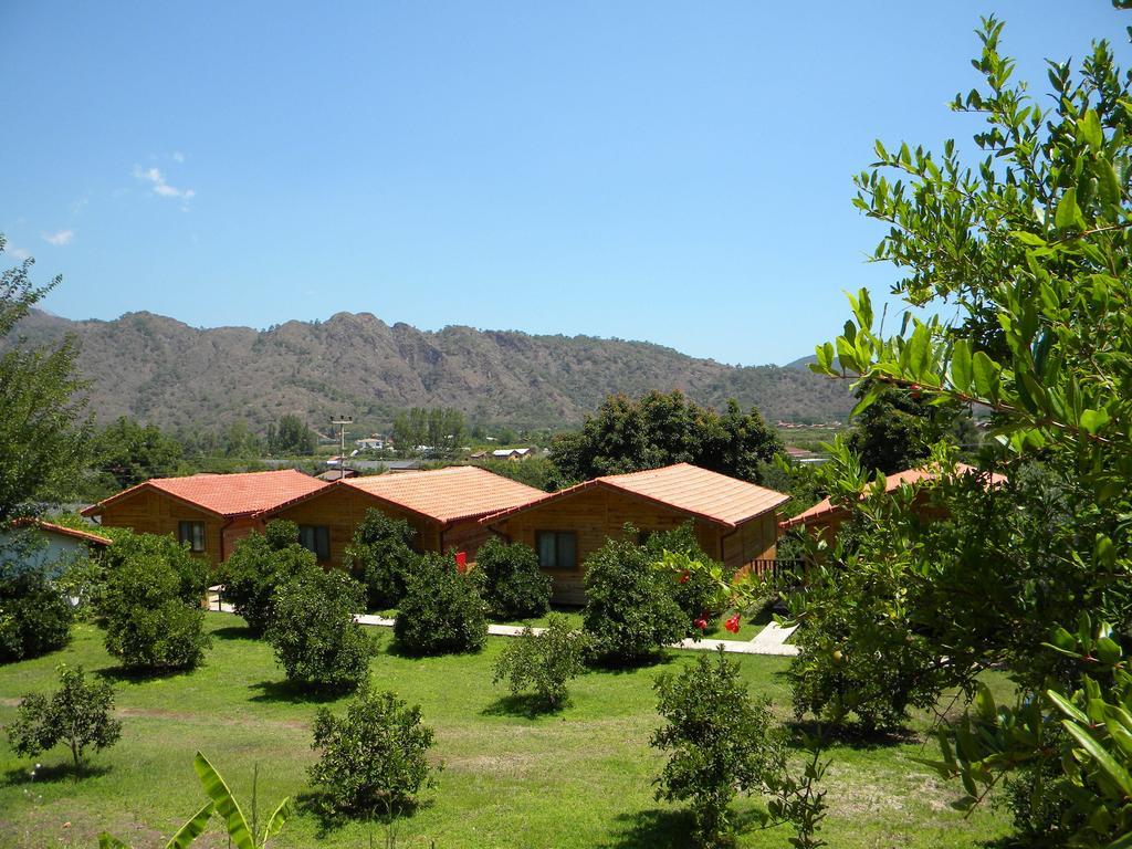 Azra Villas Çıralı Rum bild