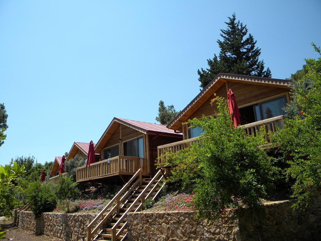 Azra Villas Çıralı Rum bild
