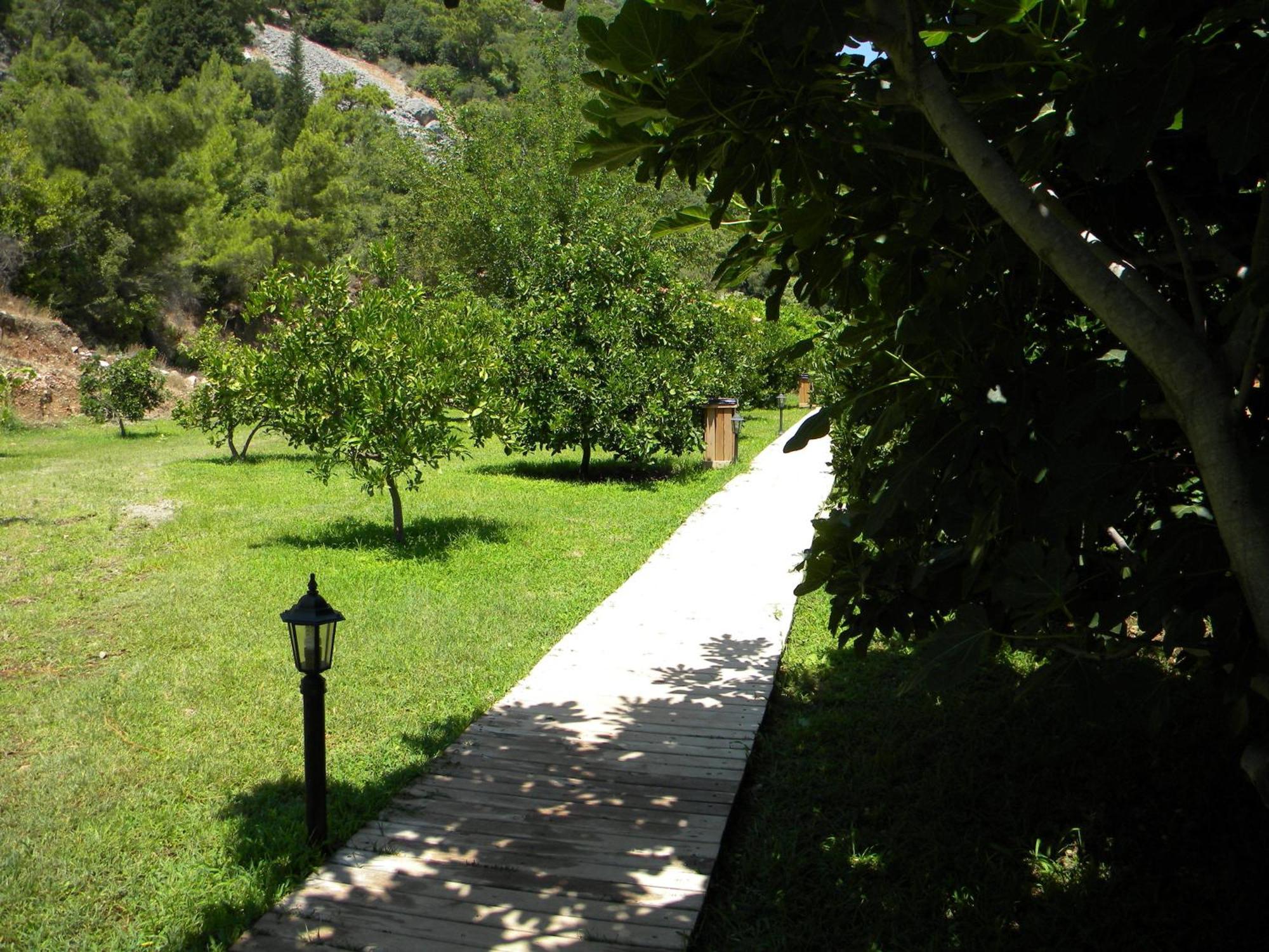 Azra Villas Çıralı Rum bild