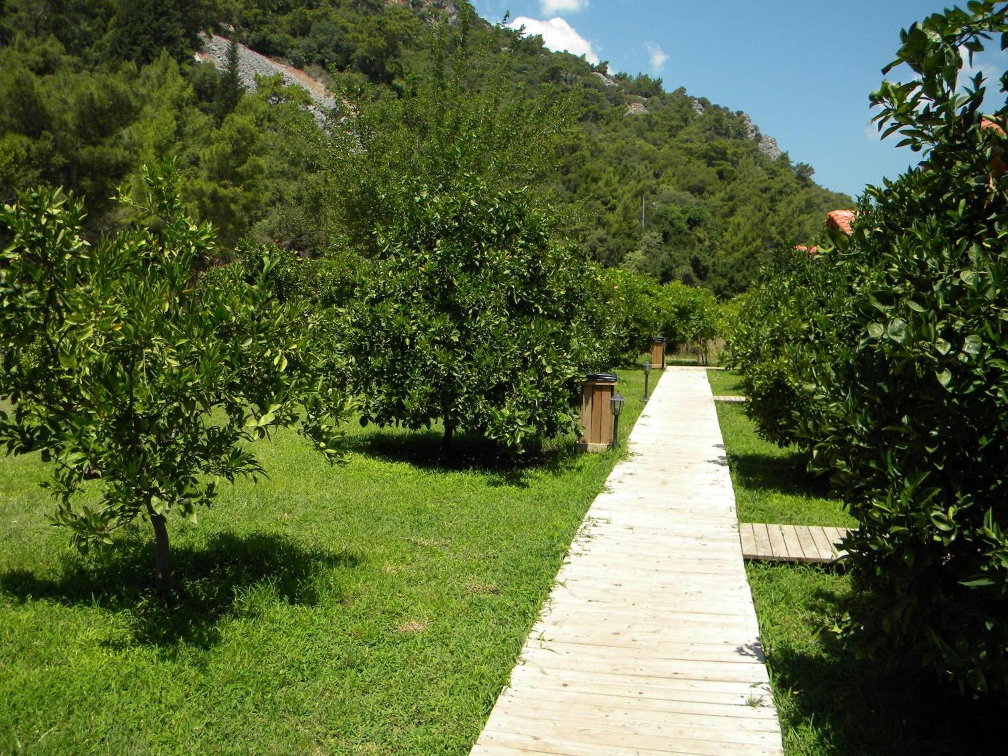Azra Villas Çıralı Rum bild