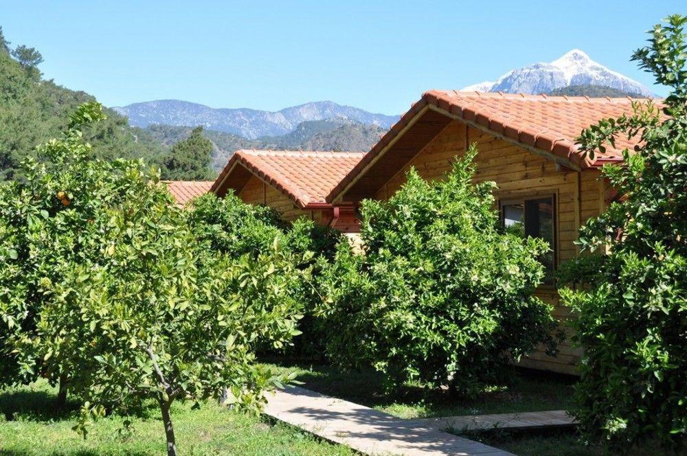 Azra Villas Çıralı Exteriör bild