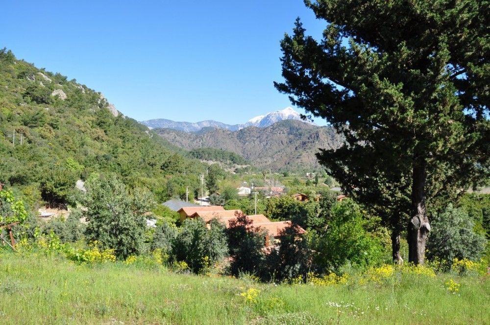 Azra Villas Çıralı Exteriör bild