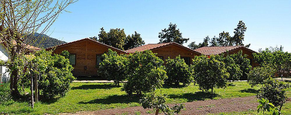 Azra Villas Çıralı Exteriör bild