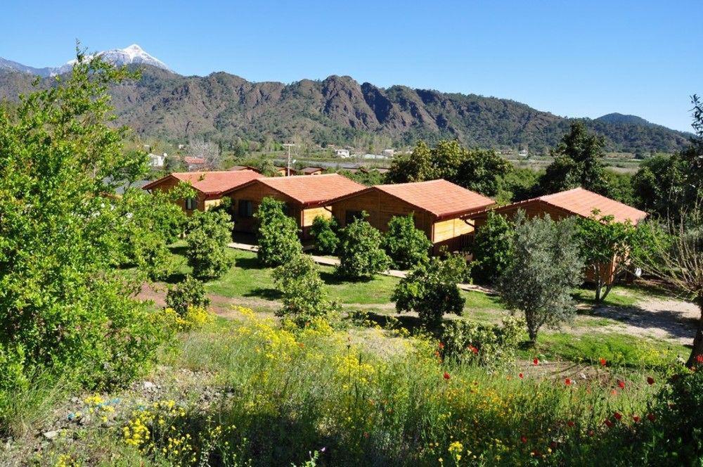 Azra Villas Çıralı Exteriör bild